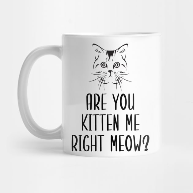 Are You Kitten Me Right Meow by Health